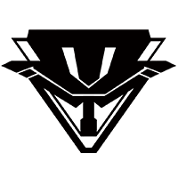 战队